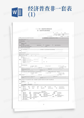 经济普查非一套表(1)