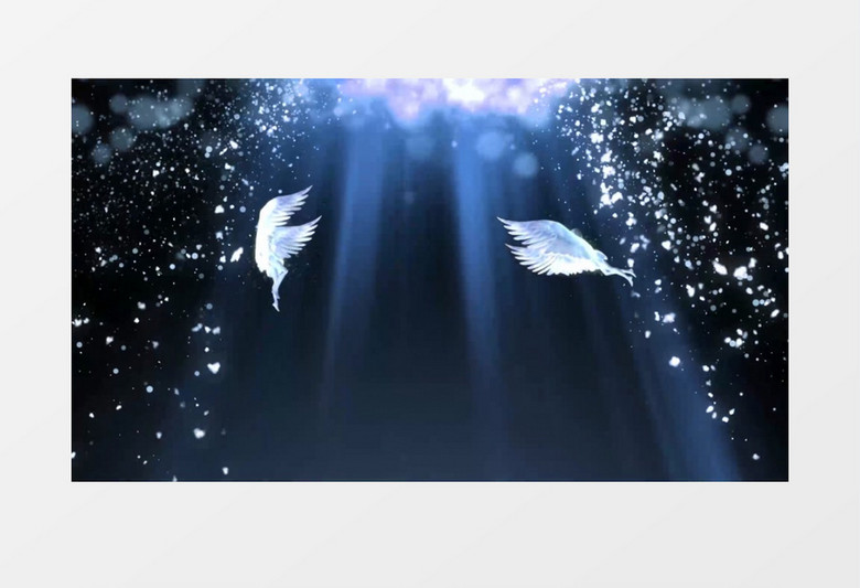 唯美粒子飞舞的天使有音乐背景视频