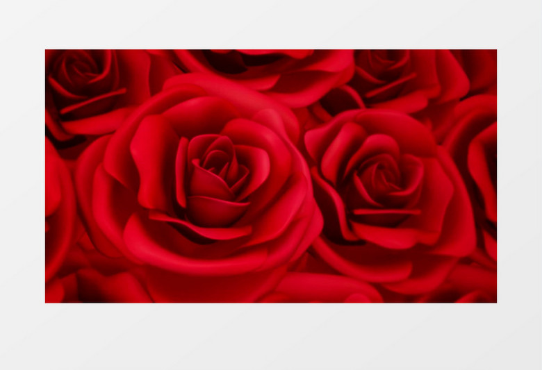 动态红色玫瑰花婚礼婚庆唯美背景视频（有音乐）