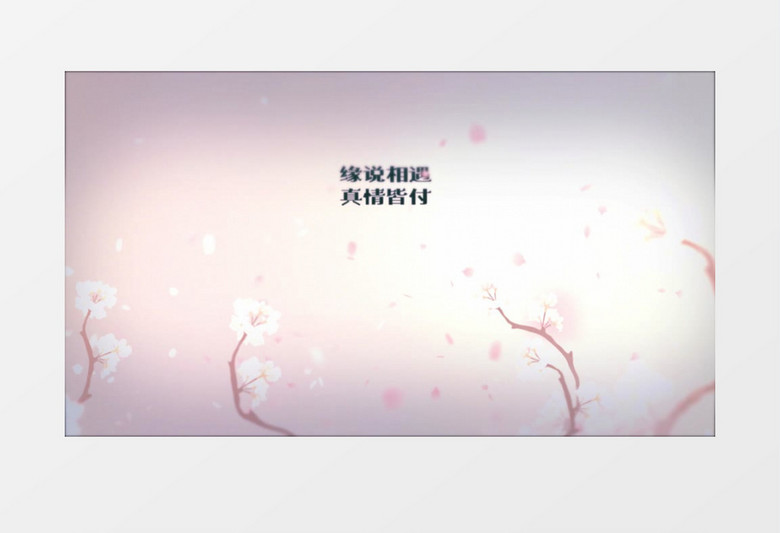 樱花花瓣文字动画片头AE模板
