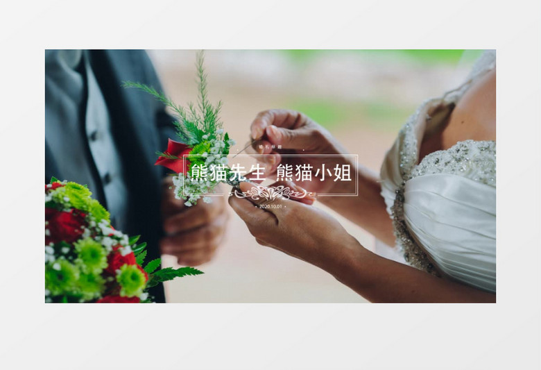 婚礼婚庆爱情标题样式后期字幕条素材ae视频模板