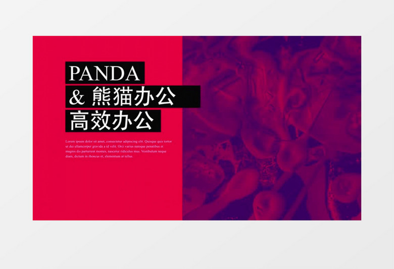 文字图片logo展示动画AE模板