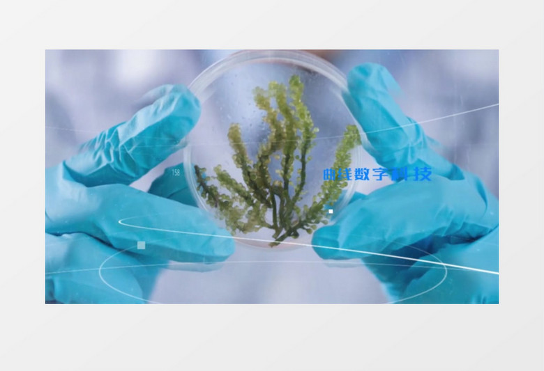 大气曲线数字医疗医学视频幻灯片展示ae模板