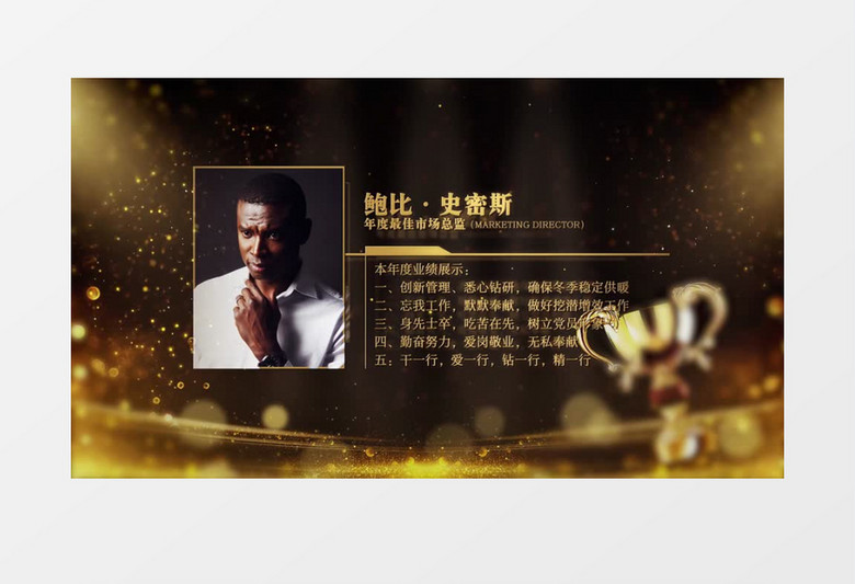 企业获奖员工介绍图文展示AE模版