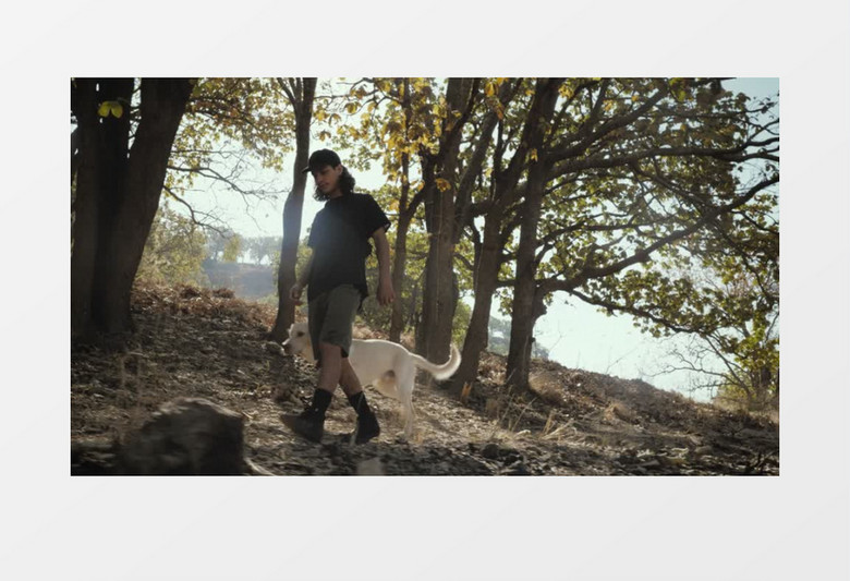 一个男人和他的狗在森林散步实拍视频素材