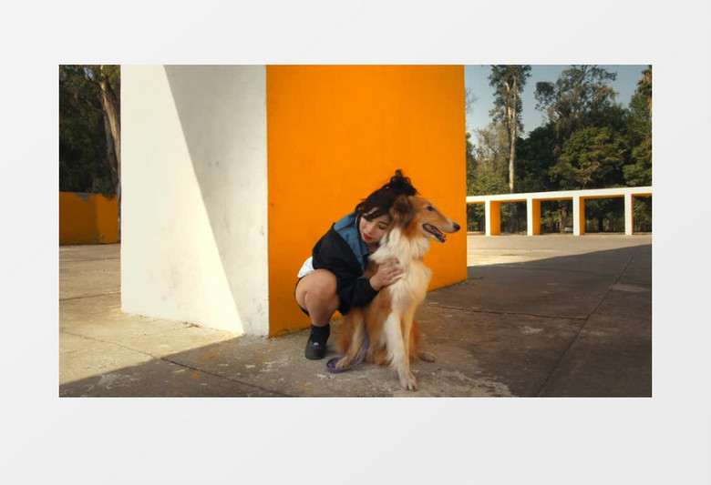 一个女人在公园拥抱抚摸自己的狗实拍视频素材