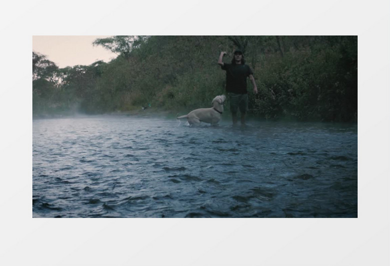 宠物主人陪狗狗在小河里玩耍实拍视频素材