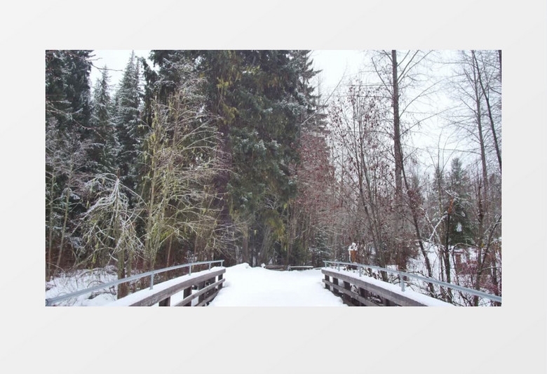 镜头向下移森林中一座小桥上的雪实拍视频素材