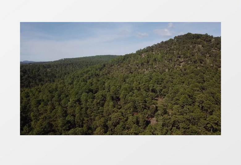 空中俯视航拍森林美景实拍视频