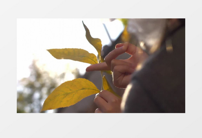 手指对着阳光触碰树叶实拍视频