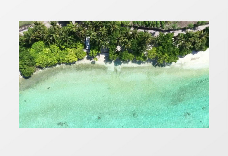 鸟瞰绿色海岸线景观实拍视频