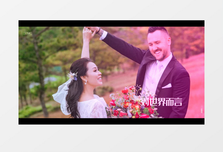 时尚简约婚礼相册Pr模板
