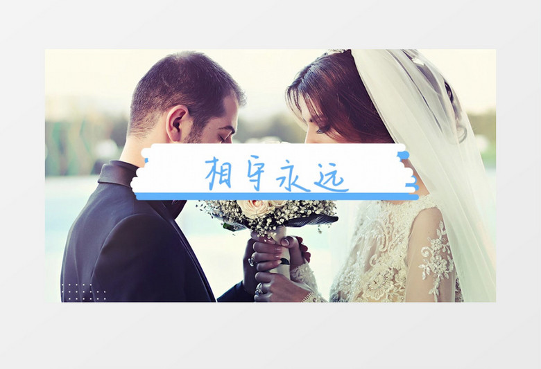 卡通风大字幕标题图文相册PR模板