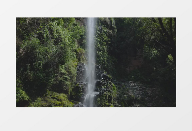 树林瀑布流水景色实拍视频