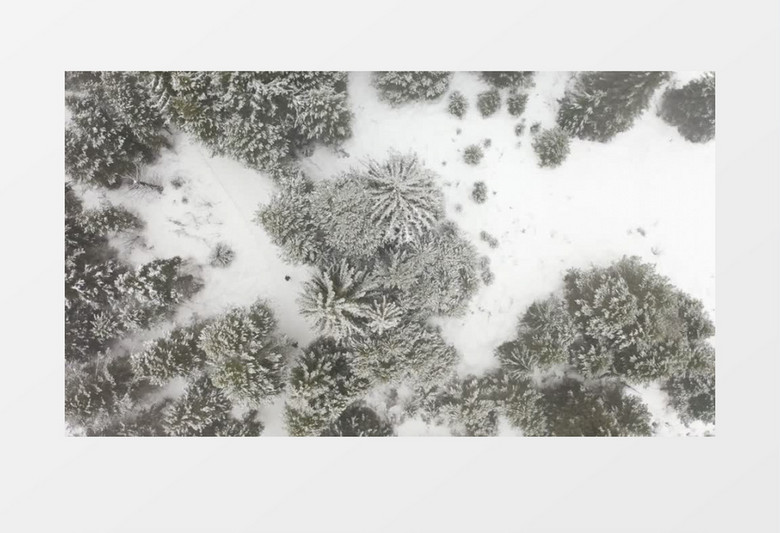 森林雪景航拍唯美实拍视频