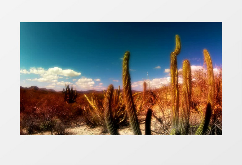 美丽沙漠景观延时摄影实拍视频