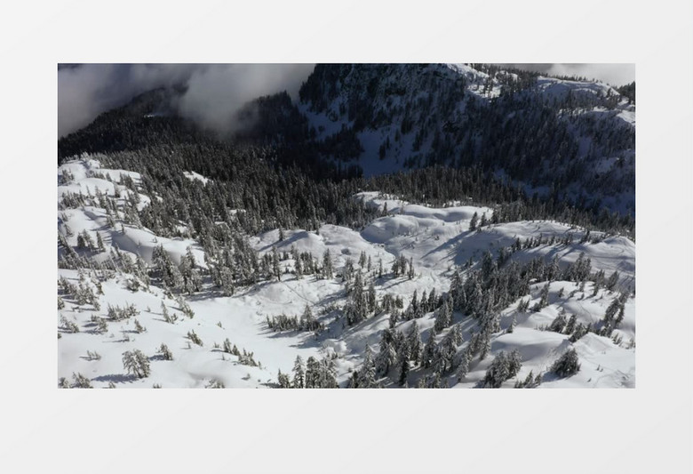 冬天鸟瞰山地森林雪景实拍视频