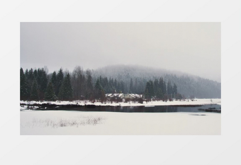 下雪寒冷环境下的树林木屋森林实拍视频