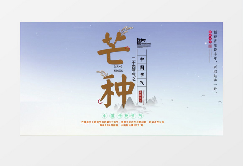 二十四节气芒种AE模板