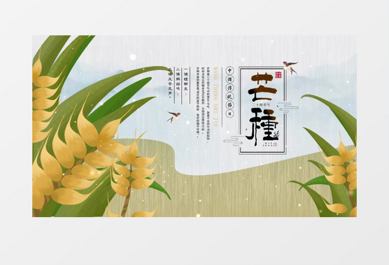 中国风传统文化节气芒种AE模板