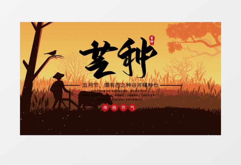 中国风二十四节气传统文化芒种