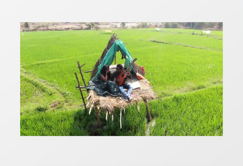 坐在田野小树屋弹吉他的情侣实拍视频素材