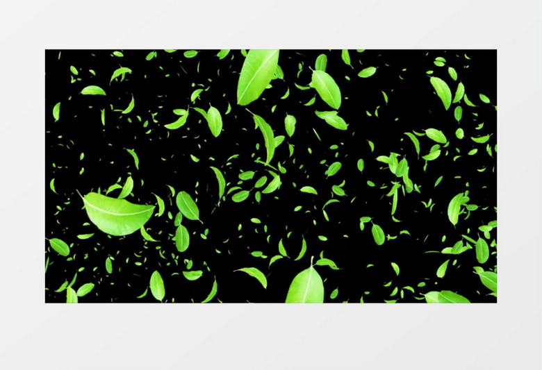 绿色叶子飞舞转圈动态视频元素