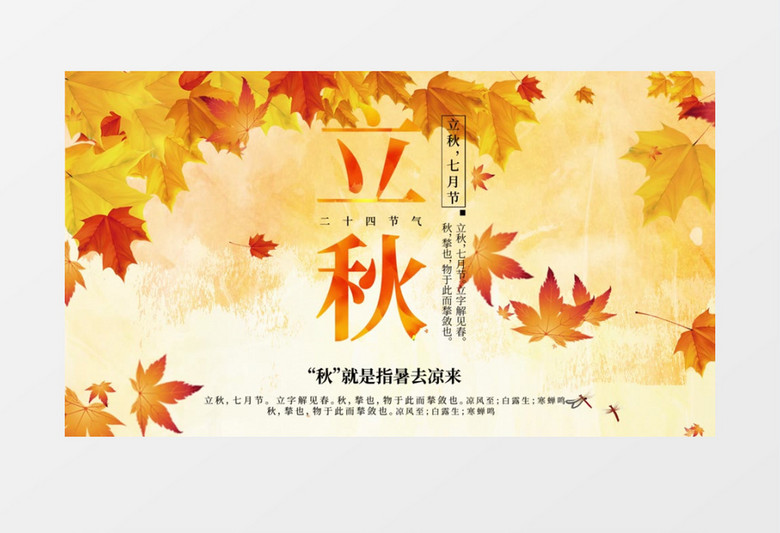 立秋二十四节气传统文化AE模板