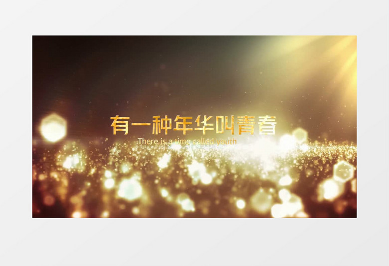 金色大气老兵退伍纪念相册会声会影模板