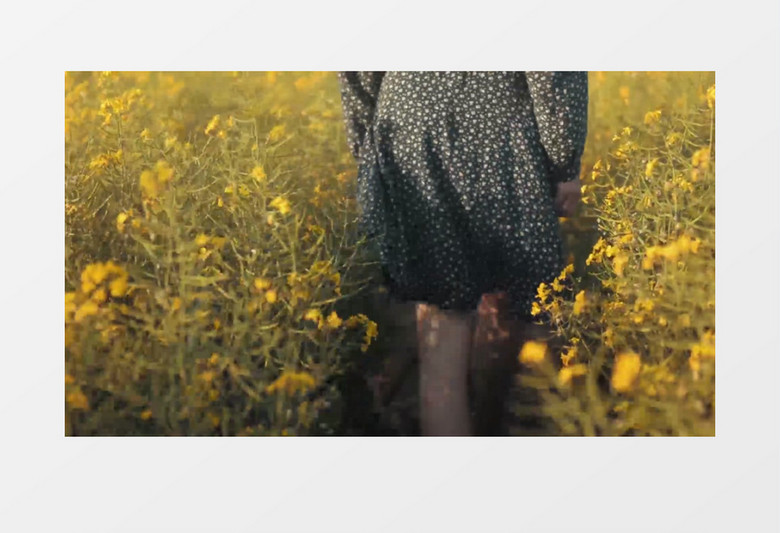 魅力自然景观女孩在花海中奔跑混剪实拍视频背景