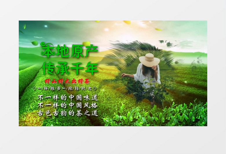 中华茶文化宣传展示会声会影模板