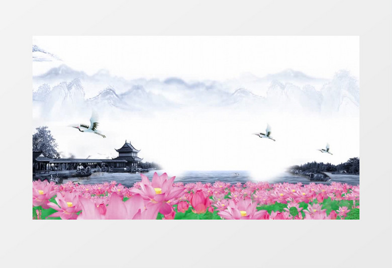 中国风水墨荷花背景视频