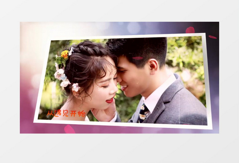 浪漫花瓣粒子爱情相册edius视频模板