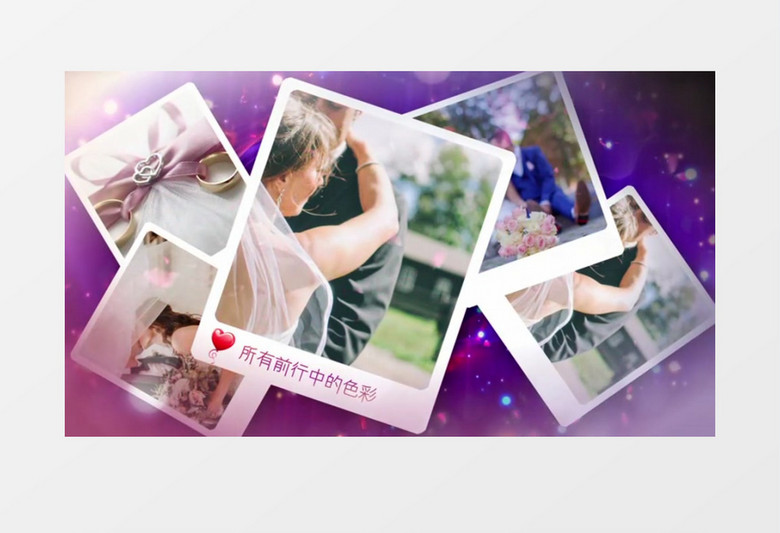 唯美花瓣爱情相册图文edius视频模板