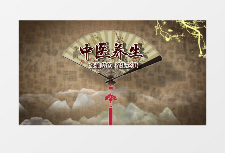 传统中医古风古人文化传承片头AE模板
