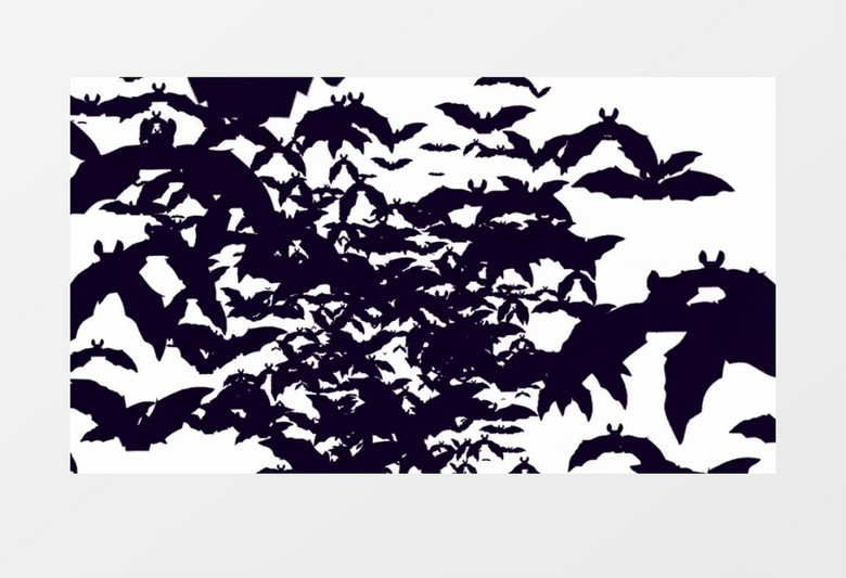 万圣节蝙蝠飞舞AE模板
