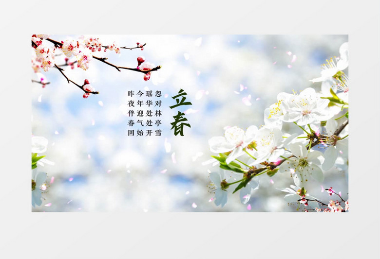 二十四节气立春水墨片头AE模板