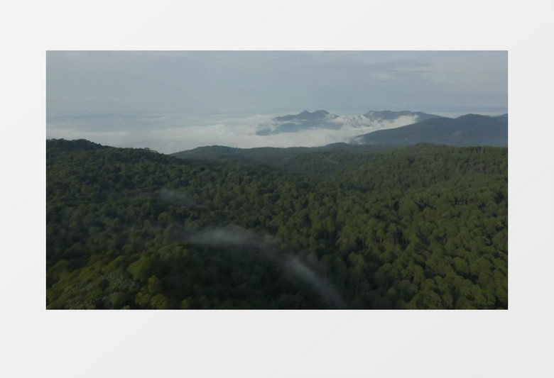 杭漂蓝天白云森林自然风光山脉实拍视频