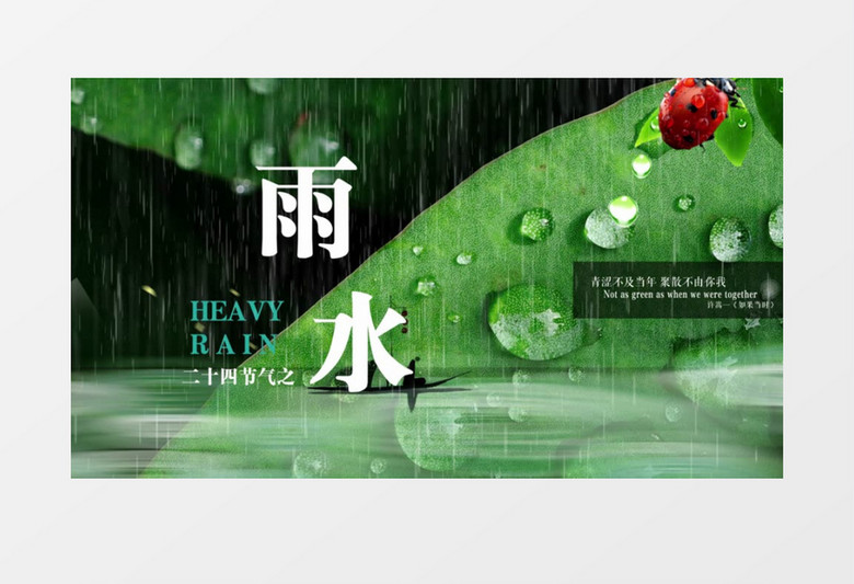 中国风简约二十四节气雨水AE模板