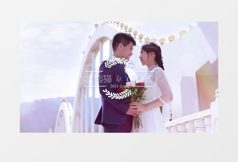 浪漫结婚纪念相册AE模板