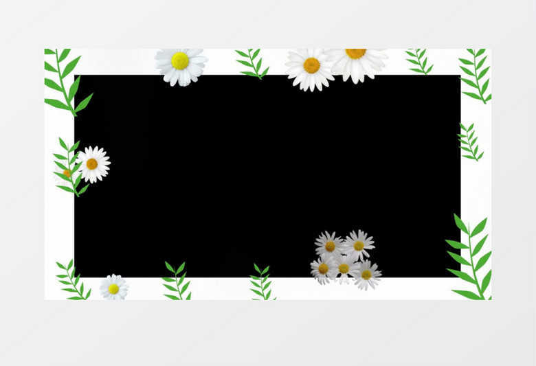 手绘小雏菊花朵视频边框后期素材