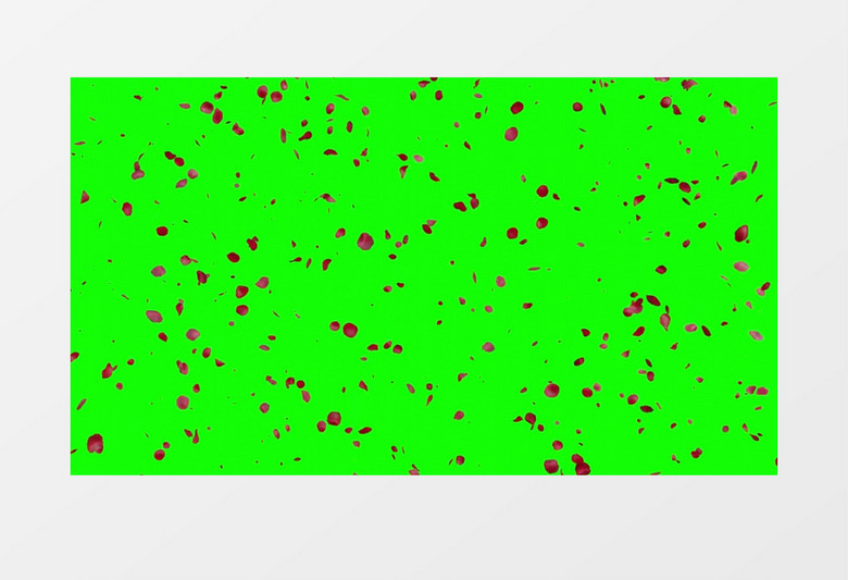 玫瑰花瓣飘落绿幕素材