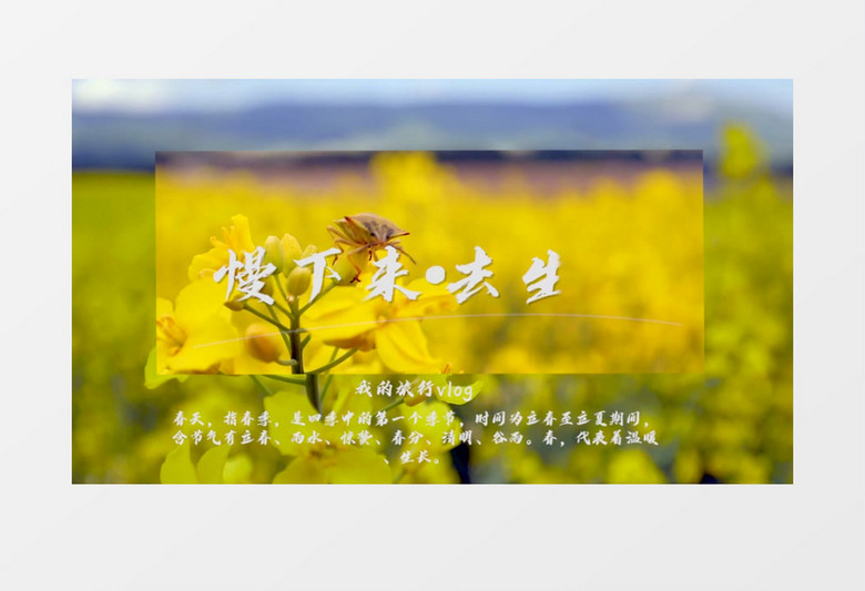 清新自然夏季旅拍vlog视频片头pr模板