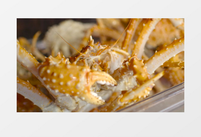 实拍黄色螃蟹在舞动大钳子实拍视频素材