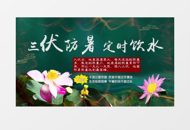 大气三伏天防暑贴士片头展示pr模板