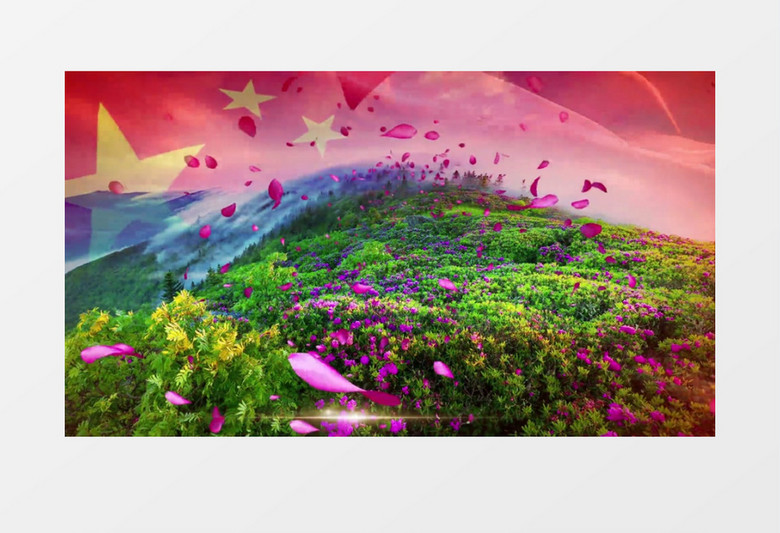 动态大气花海舞台背景视频