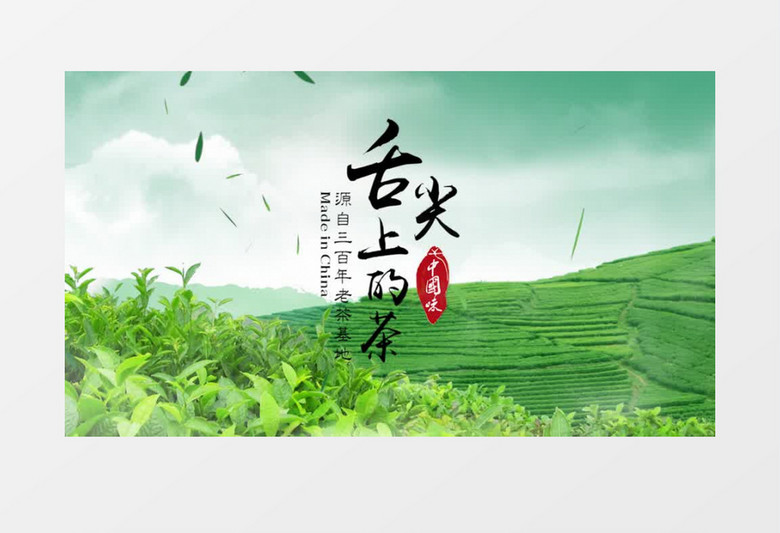 清新绿色茶文化片头pr模板