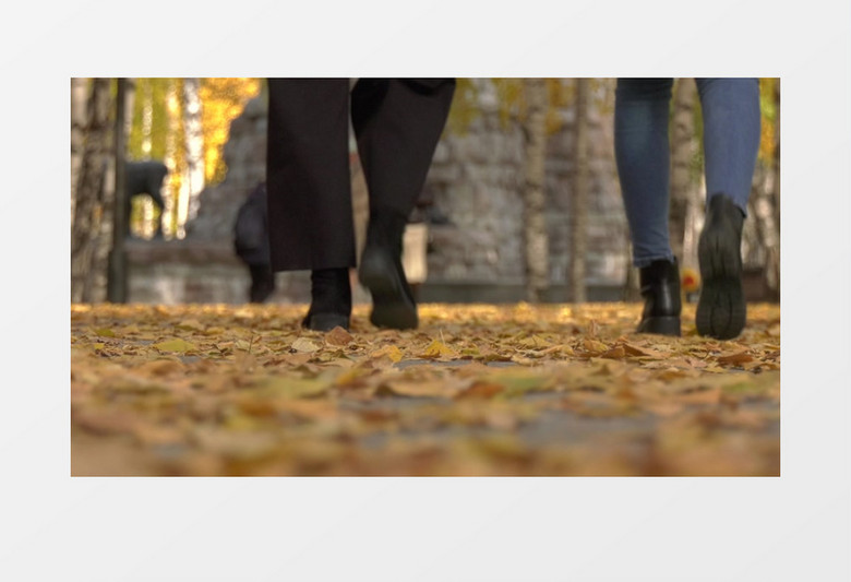 人们漫步在铺满落叶的道路上实拍视频素材