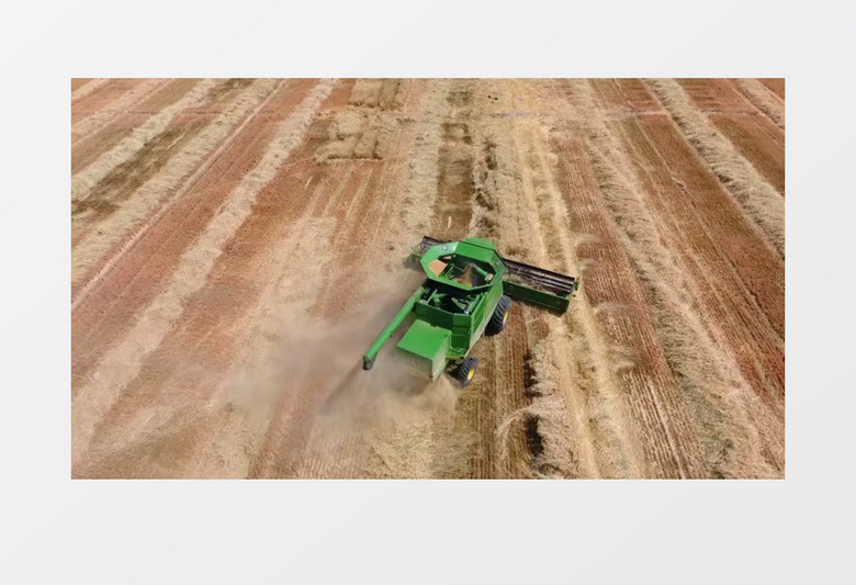大型收割机在收割农作物实拍视频素材