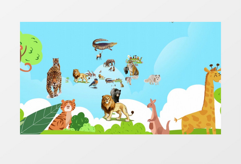 保护动物照片汇聚AE模板